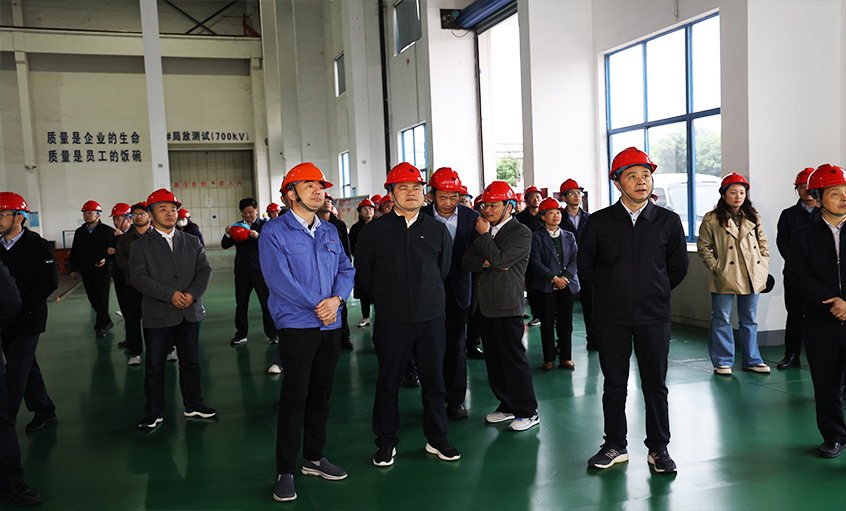 安徽池州青阳县党政代表团一行来rb88随行版电缆调查