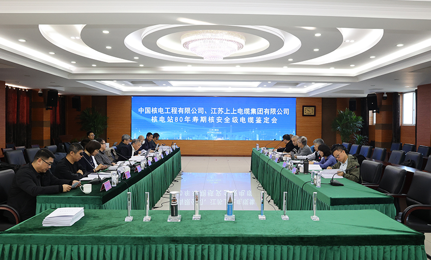 国际当先，rb88随行版电缆“核电站80年寿期核安全级电缆”通过国度级鉴定